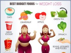 Types of Diets to Lose Weight: A Comprehensive Guide Types of diets to lose weight