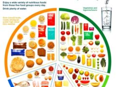 Recommended Dietary Allowance for Different Lifestyles: A Personalized Approach Recommended Dietary Allowance for different lifestyles