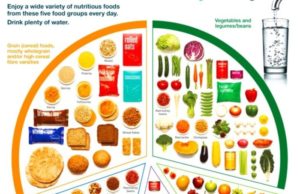 Recommended Dietary Allowance for Different Lifestyles: A Personalized Approach Recommended Dietary Allowance for different lifestyles