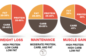The Best Diet for Weight Loss and Muscle Gain: A Balanced Approach The best diet for weight loss and muscle gain
