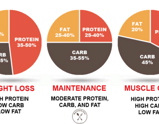 The Best Diet for Weight Loss and Muscle Gain: A Balanced Approach The best diet for weight loss and muscle gain