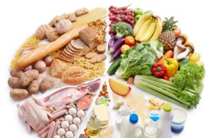 What to Eat Diet: Fuel Your Body, Fuel Your Life What to eat diet