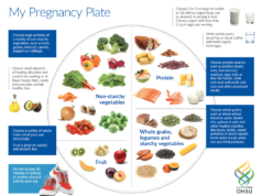 Best Diet When Pregnant: Fueling You & Your Baby Best diet when pregnant