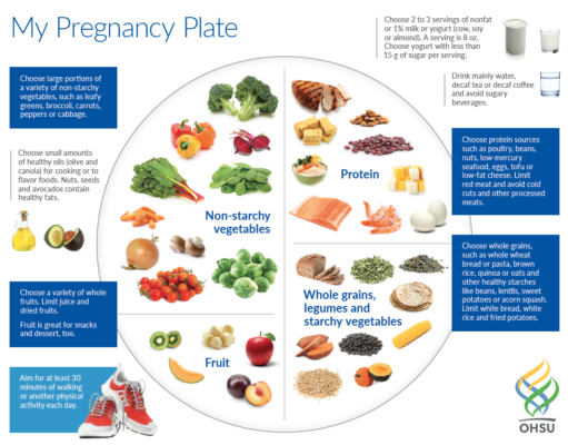 Best Diet to Lose Weight for Women: A Guide to Health and Happiness Best diet when pregnant