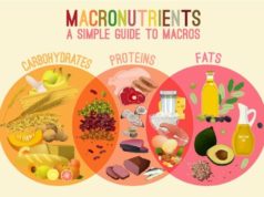 What Are Diet Macros: Your Guide to Eating for Success What are diet macros