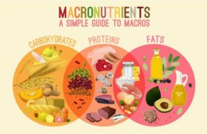 What Are Diet Macros: Your Guide to Eating for Success What are diet macros