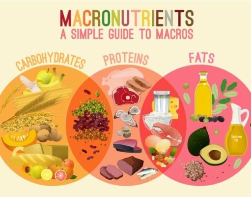 What Are Diet Macros: Your Guide to Eating for Success What are diet macros