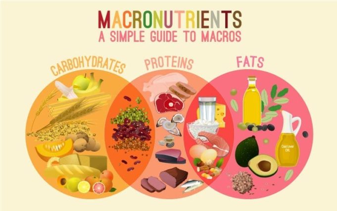 Macronutrients nutrients boostcamp What are diet macros