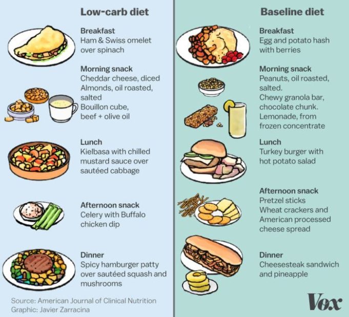 Meal dieta calorie lose saludable preparación peso diets paleo recolector genotipo comidas bajar proporcionamos efectivas breakfast keto weightlosstips lunches What does keto diet do