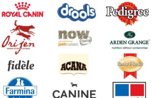 Best Food Brands for Dogs: Fueling Your Furry Friends Happiness Best food brands for dogs