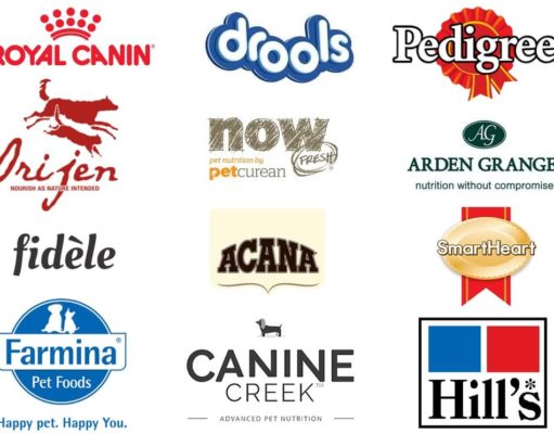 Best Food Brands for Dogs: Fueling Your Furry Friends Happiness Best food brands for dogs