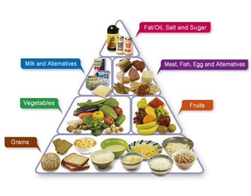 The Best Diet to Lose Body Fat: A Comprehensive Guide Best diet to lose body fat