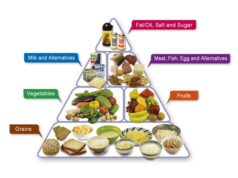 If Diet Matters: Your Guide to Healthy Eating If diet