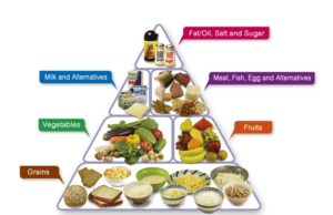 If Diet Matters: Your Guide to Healthy Eating If diet