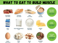 How to Diet to Gain Muscle: A Comprehensive Guide How to diet to gain muscle