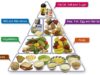 Guide to Dieting: A Comprehensive Approach to Healthy Eating Guide to dieting