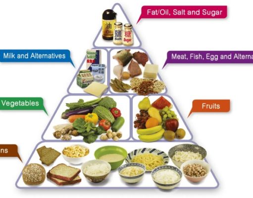 Guide to Dieting: A Comprehensive Approach to Healthy Eating Guide to dieting