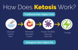 How Does a Keto Diet Work? A Guide to Fat-Burning Metabolism How does a keto diet work