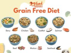 Is a Grain-Free Diet Good for Dogs? Is a grain free diet good for dogs