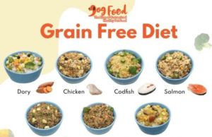Is a Grain-Free Diet Good for Dogs? Is a grain free diet good for dogs